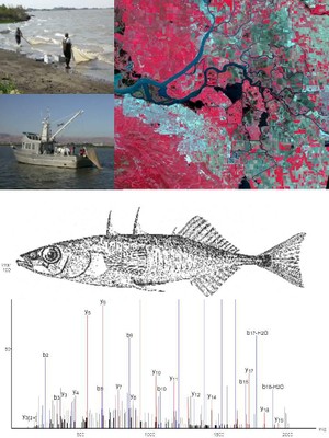 Emerging techniques in fisheries